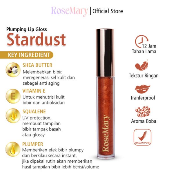 ROSEMARY Plumping Lip Gloss Stardust |Hydrating Plumping Gloss Moisturizing Lipgloss Filler Volume - Image 4